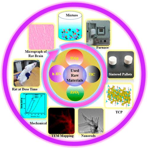 Fabrication of Novel 3-D Nanocomposites of HAp–TiC–h-BN–ZrO2: Enhanced ...