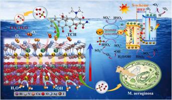 Enhanced peroxymonosulfate activation by S-scheme AgI/Cu-BiVO4 ...