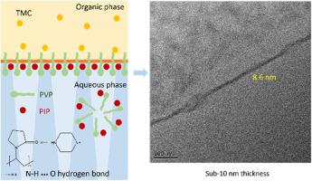 A sub-10 nm polyamide nanofiltration membrane from polyvinylpyrrolidone ...