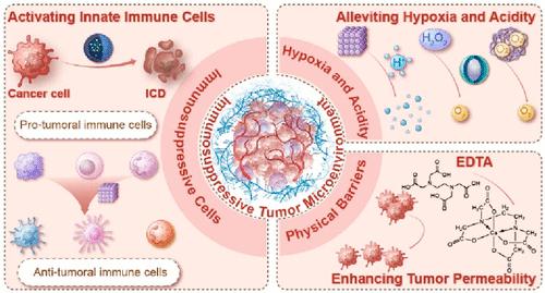 Nanomedicine Remodels Tumor Microenvironment for Solid Tumor Immunotherapy