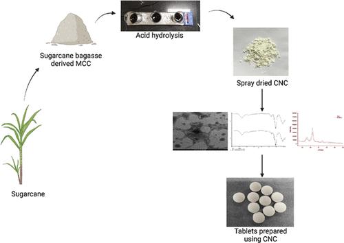 New Excipient For Oral Drug Delivery Cnc Derived From Sugarcane Bagasse Derived