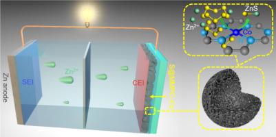 Biomass-derived Porous Carbon With Single-atomic Cobalt Toward High ...