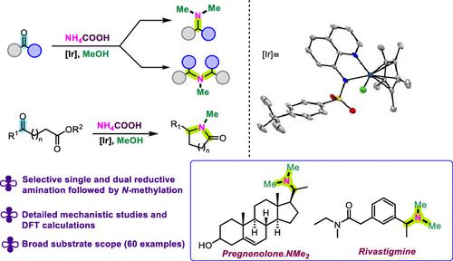 Reductive Aminomethylation Using Ammonium Formate and Methanol as N1 ...