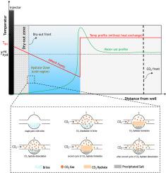 枯竭气田 CO2 储存过程中 CO2 水合物对注入能力的影响：文献综述,Gas Science and Engineering - X-MOL