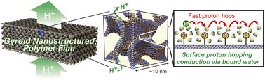 Surface Proton Hopping Conduction Mechanism Dominant Polymer ...