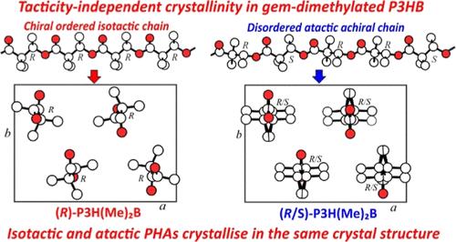 Crystal Structure Of Atactic And Isotactic Poly(3-hydroxy-2,2 ...