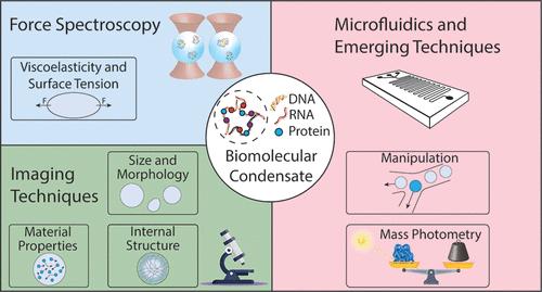 Label-Free Techniques For Probing Biomolecular Condensates,ACS Nano - X-MOL