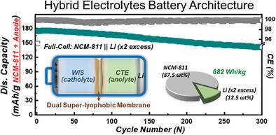 Hybrid-Electrolytes System Established by Dual Super-lyophobic Membrane ...