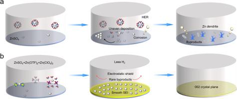 Molecular Crowding Electrolytes For Stabilizing Zn Metal Anode In ...