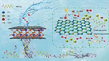 Efficient Photo-electro-Fenton Catalysis Of Perfluorooctanoic Acid With ...