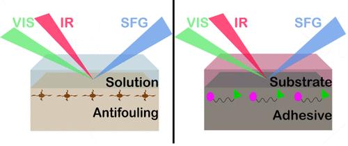 Characterization Of Buried Interfaces Of Silicone Materials In Situ To ...