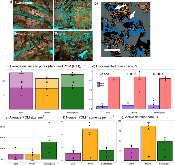 Composition and metabolism of microbial communities in soil pores ...