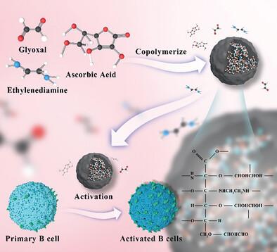 Ascorbic Acid‐derived New Polymer Spheres via Ternary Copolymerization ...