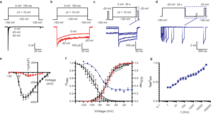 Structural mechanism of voltage-gated sodium channel slow inactivation