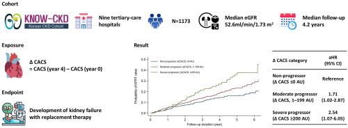 Association between progression of coronary artery calcification and ...