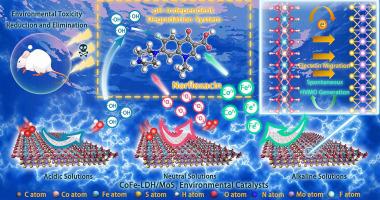 High-valent Metal-oxo Species Heterogeneous Activation Making Use Of ...