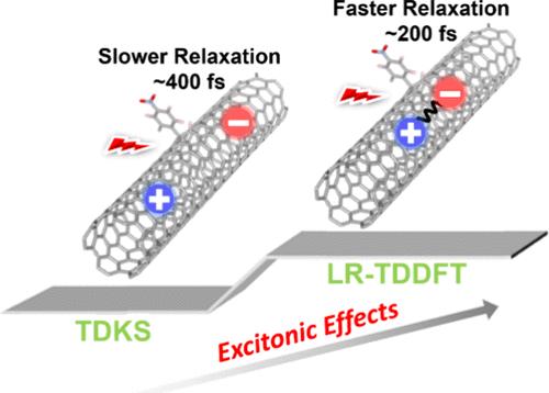 Photoinduced Dynamics of a Single-Walled Carbon Nanotube with a sp3 ...