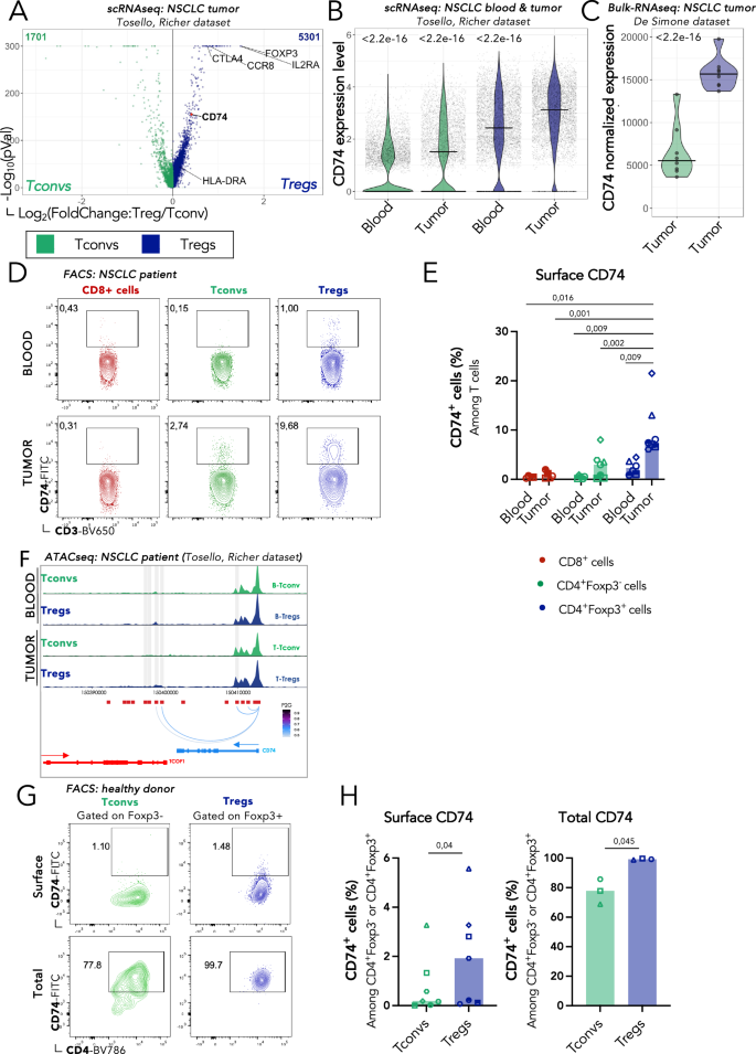 CD74 supports accumulation and function of regulatory T cells in tumors ...