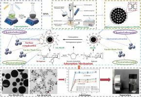 Synthesis and adsorption performance of carboxyl-functionalized ...