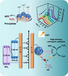 Synergistic Signal Amplification Of Ultrathin Nanowire-like PtCoFeRuMo ...