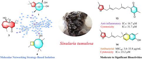 分子网络策略辅助探索南海软珊瑚Sinularia tumulosa中倍半萜化学多样性,Phytochemistry - X-MOL