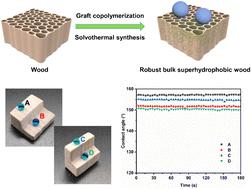 Fabrication Of Bulk Superhydrophobic Wood By Grafting Porous Poly ...