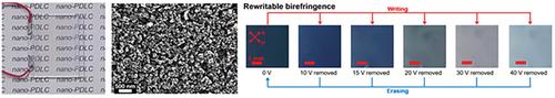 Memorizable Electro‐Birefringence Effect Exhibited by Transparent ...