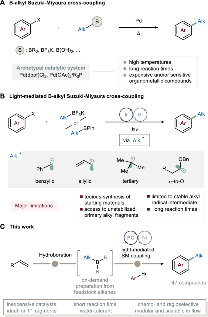 Rapid And Scalable Photocatalytic C(sp2)–C(sp3) Suzuki−Miyaura Cross ...