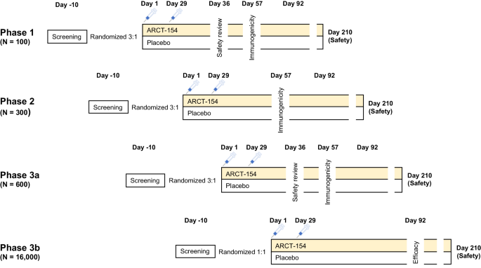 Safety, immunogenicity and efficacy of the self-amplifying mRNA ARCT ...