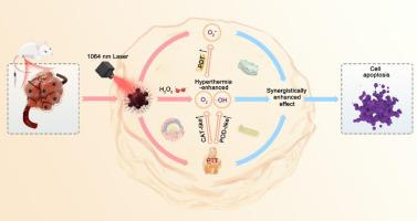 Ultrasmall copper-based nanoplatforms for NIR-II light-triggered ...