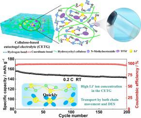 Cellulose-based eutectogel electrolyte with high ionic conductivity for ...