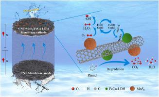 Enhanced heterogeneous Electro-Fenton catalysis using CNT/MoS2/FeCo-LDH ...