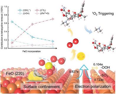 The Surface Confinement Of FeO Assists In The Generation Of Singlet ...