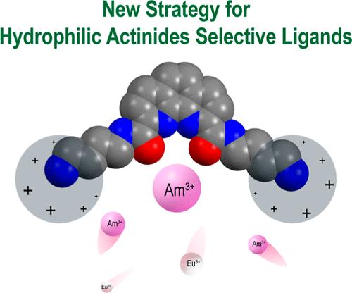 Amine-Terminated Phenanthroline Diimides as Aqueous Masking Agents for ...