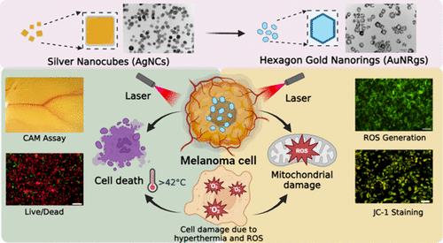 Hexagon Gold Nanoring-Mediated Combined Phototherapy for the Treatment ...