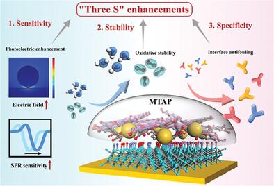 2D/0D Heterojunction Interface with Photovoltaic Enhancement and ...