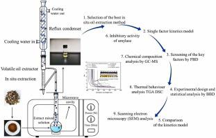 Ultrasonic pretreatment combined with microwave-assisted ...