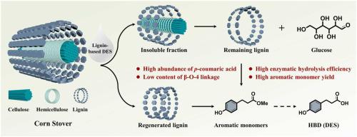 Efficient Fractionation Of Corn Stover Using Deep Eutectic Solvent From