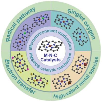 Advances in Atomically Dispersed Metal and Nitrogen Co-Doped Carbon ...