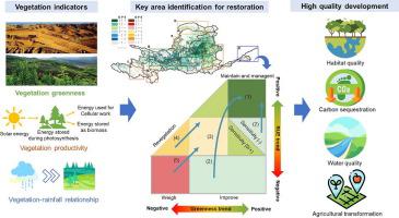 Divergent Changes In Vegetation Greenness, Productivity, And Rainfall ...