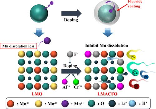 Enhanced Lithium Adsorption on an Anion- and Cation-Codoped Lithium ...