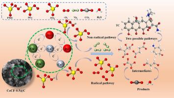 Efficient activation of peroxymonosulfate by Co/Cu co-substituted ...