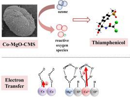 Electron transfer in MOF-derived cobalt-magnesium oxide–carbon ...