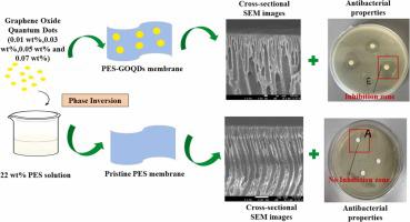 Next-generation membranes for verapamil removal: Graphene oxide quantum ...