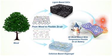 Wood-derived Fe cluster-reinforced asymmetric single-atom catalysts and ...