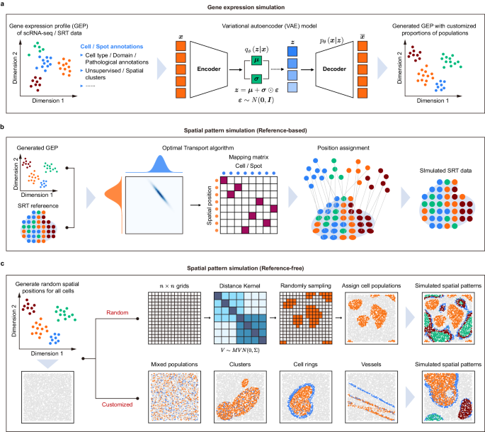 Simulating Multiple Variability In Spatially Resolved Transcriptomics ...