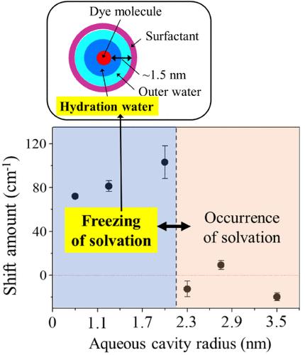 Freezing of Water Solvation Dynamics in Nanoconfinement by Reverse ...