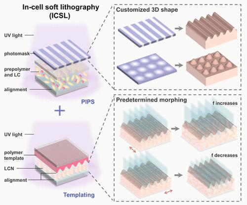 Responsive Liquid Crystal Network Microstructures with Customized ...