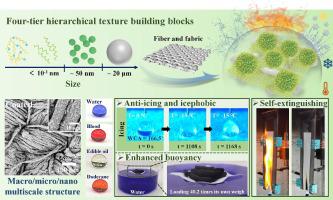 Chemical Engineering Journal X Mol