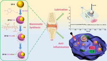 用于协同治疗骨关节炎的仿生润滑纳米系统,Journal of Colloid and Interface Science - X-MOL